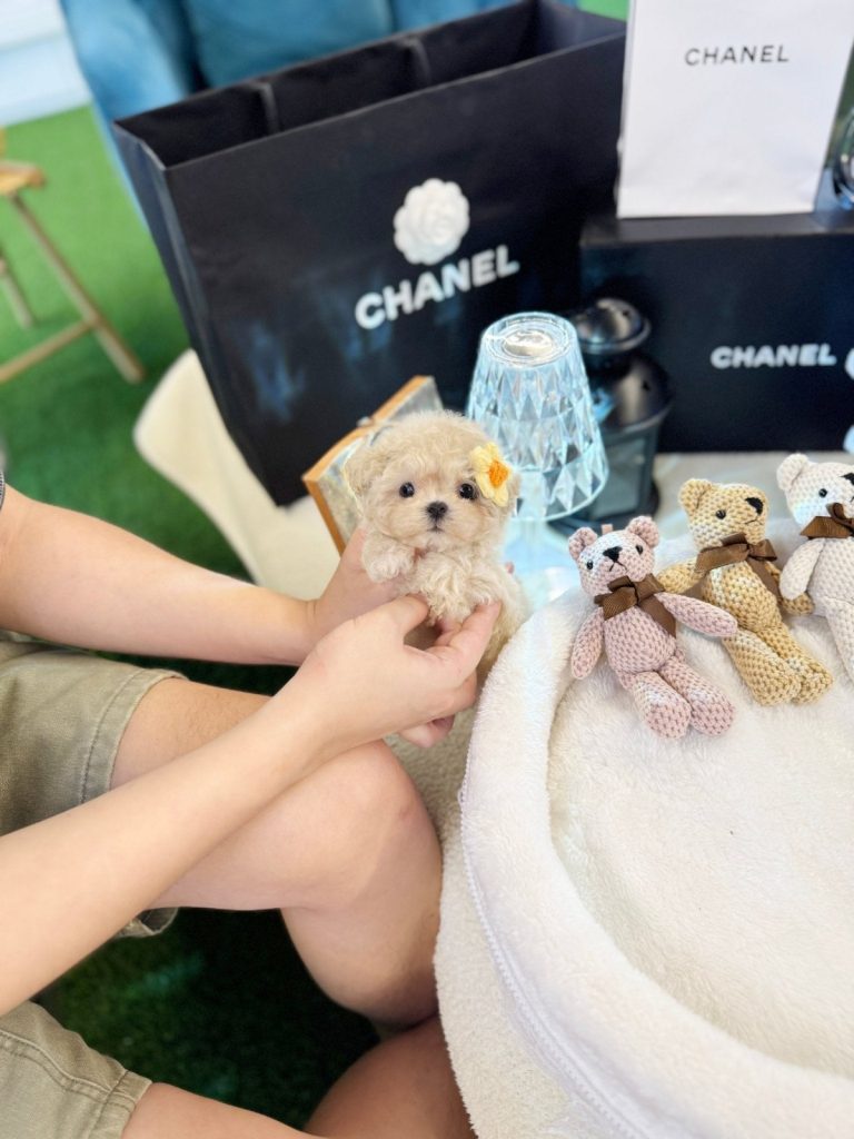 WhatsApp Image 2026-01-19 at 8.01.31 PM