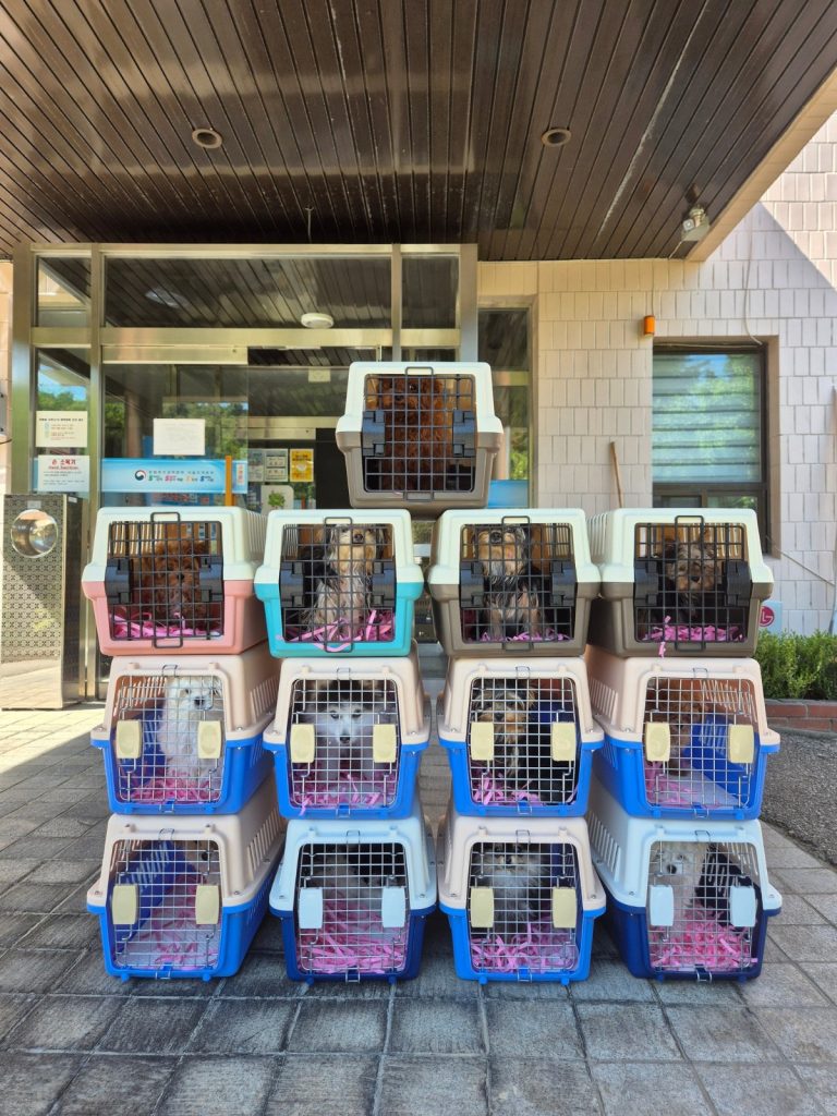 WhatsApp Image 2026-01-19 at 8.06.38 PM